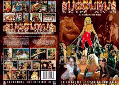 Succubus Skin XVII