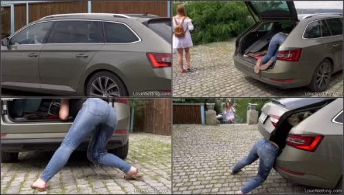 Pee Skoda Superb