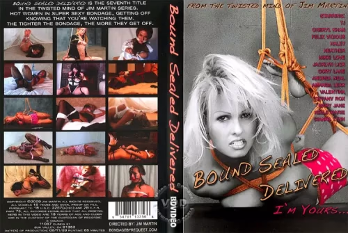Tiffany Rox - Bound Sealed Delivered