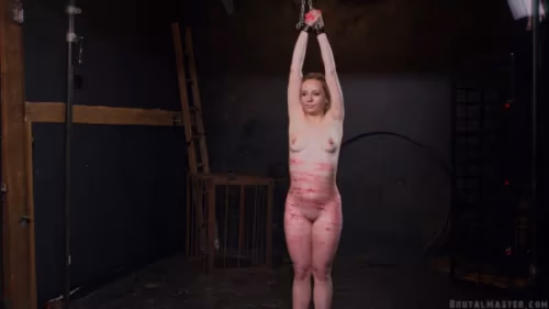Alix Amour's 100 Lashes bloody Part 2