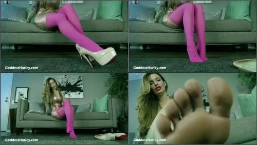 Wrong Pantyhose [FetishManiaOrg] Goddess Harley