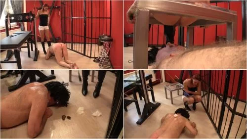 Zucht Und Ordnung | Scat Video