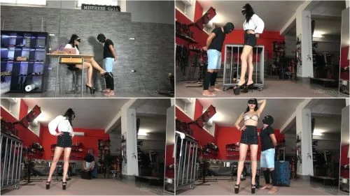 Mistress Gaia - The Shrimp - Armpit fetish