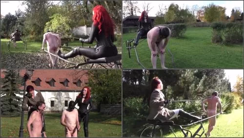 Morrigan Hel - Testing Of Ponyboys -  Corporal punishment