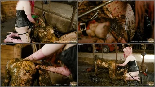 Lyndra Lynn - Cowshed domination | Poo Video