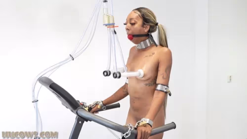 Thiccy Niccy - Human cow on the treadmill | BDSM Video