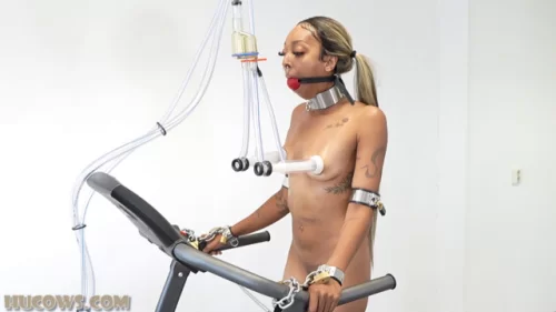 Thiccy Niccy - Human cow on the treadmill | BDSM Video