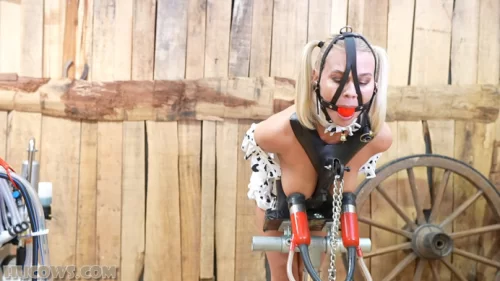 Darina - Pumped on the milking stand | BDSM Video
