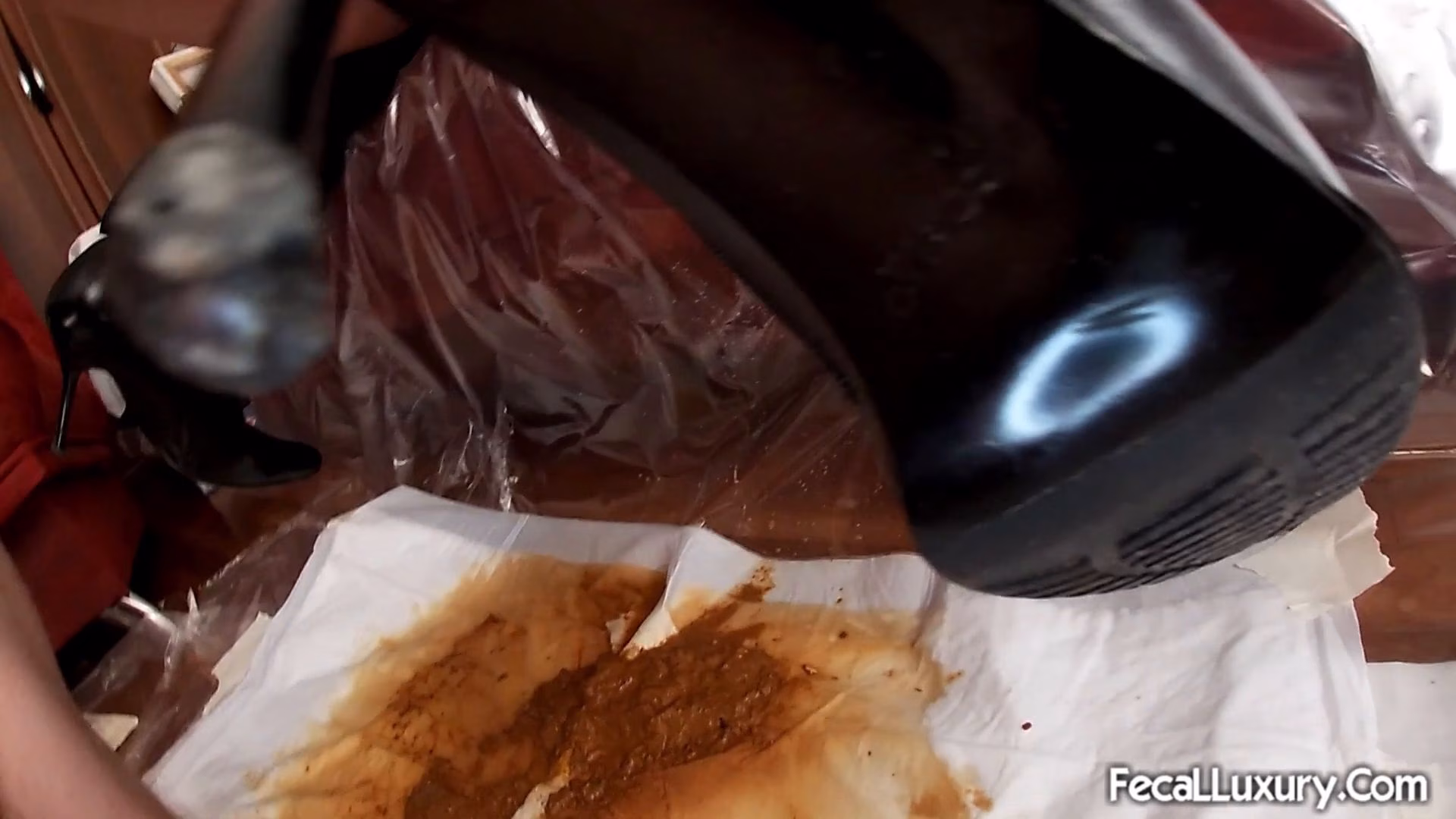 Fecal Luxury - Santa's Diarrhea for You, Stupid Slave | Kaviar Video